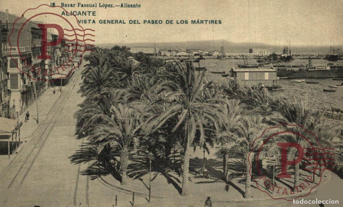 Postales: ALICANTE. VISTA GENERAL DEL PASEO DE LOS MARTIRES. BAZAR PASCUAL LOPEZ