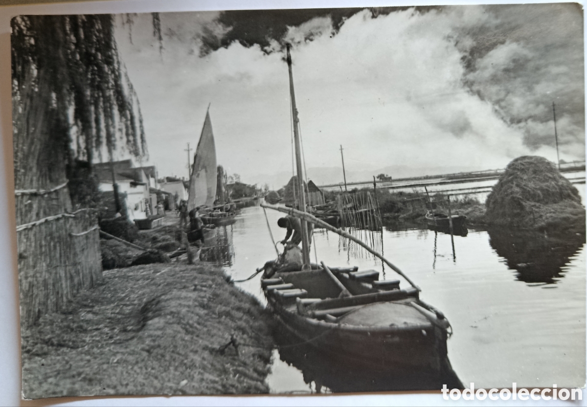 Postales: POSTAL VALENCIA LA ALBUFERA DETALLE DEL SALER -FOTOGRAFICA