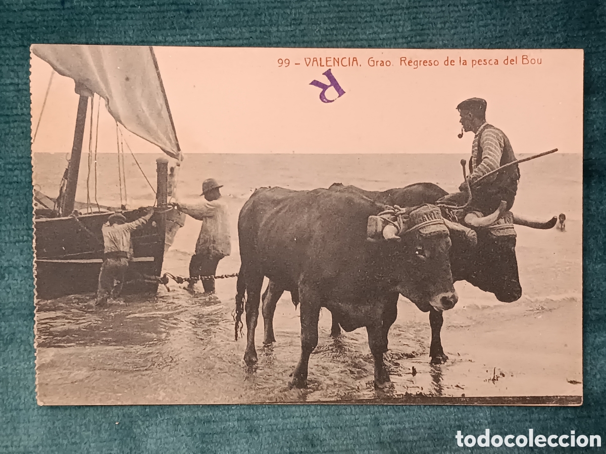 Postales: 99 VALENCIA. Grao. Regreso de la pesca del Bou. (Val&egrave;ncia)