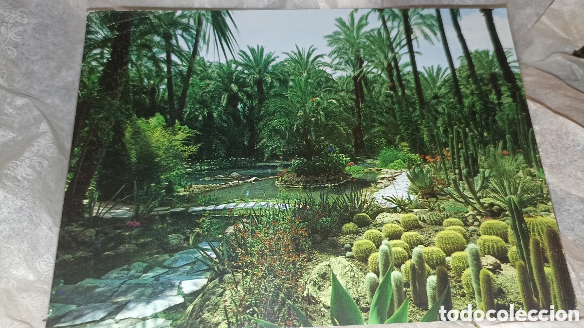 Postales: Elche el Alicante el huerto de cura ediciones postal interbus
