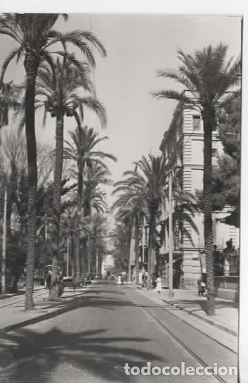 Postales: VALENCIA ESCRITA CALLE PINTOR PINAZO