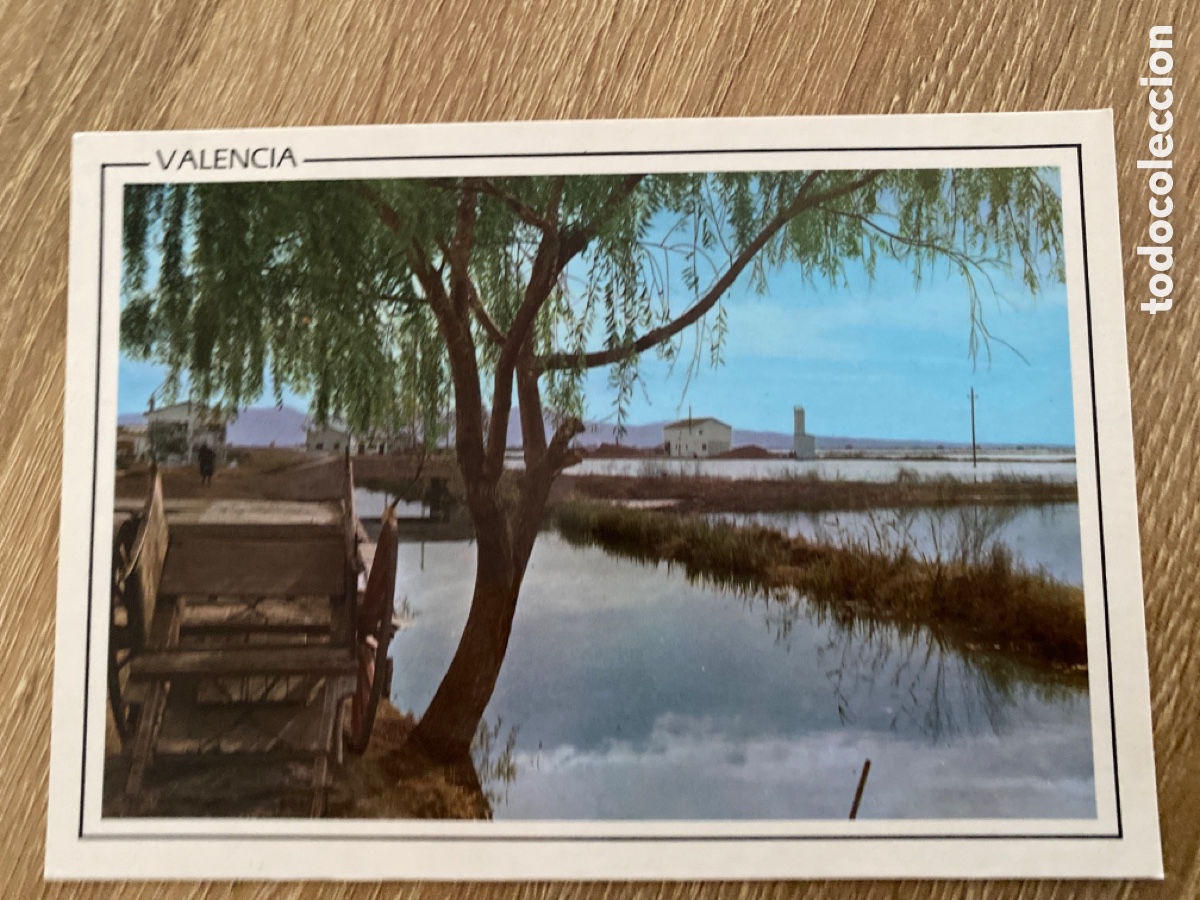 Postales: ANTIGUA POSTAL VALENCIA PAISAJE ALBUFERA