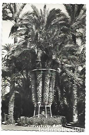 Postales: PALMERA IMPERIAL. HUERTO DEL CURA.- ELCHE