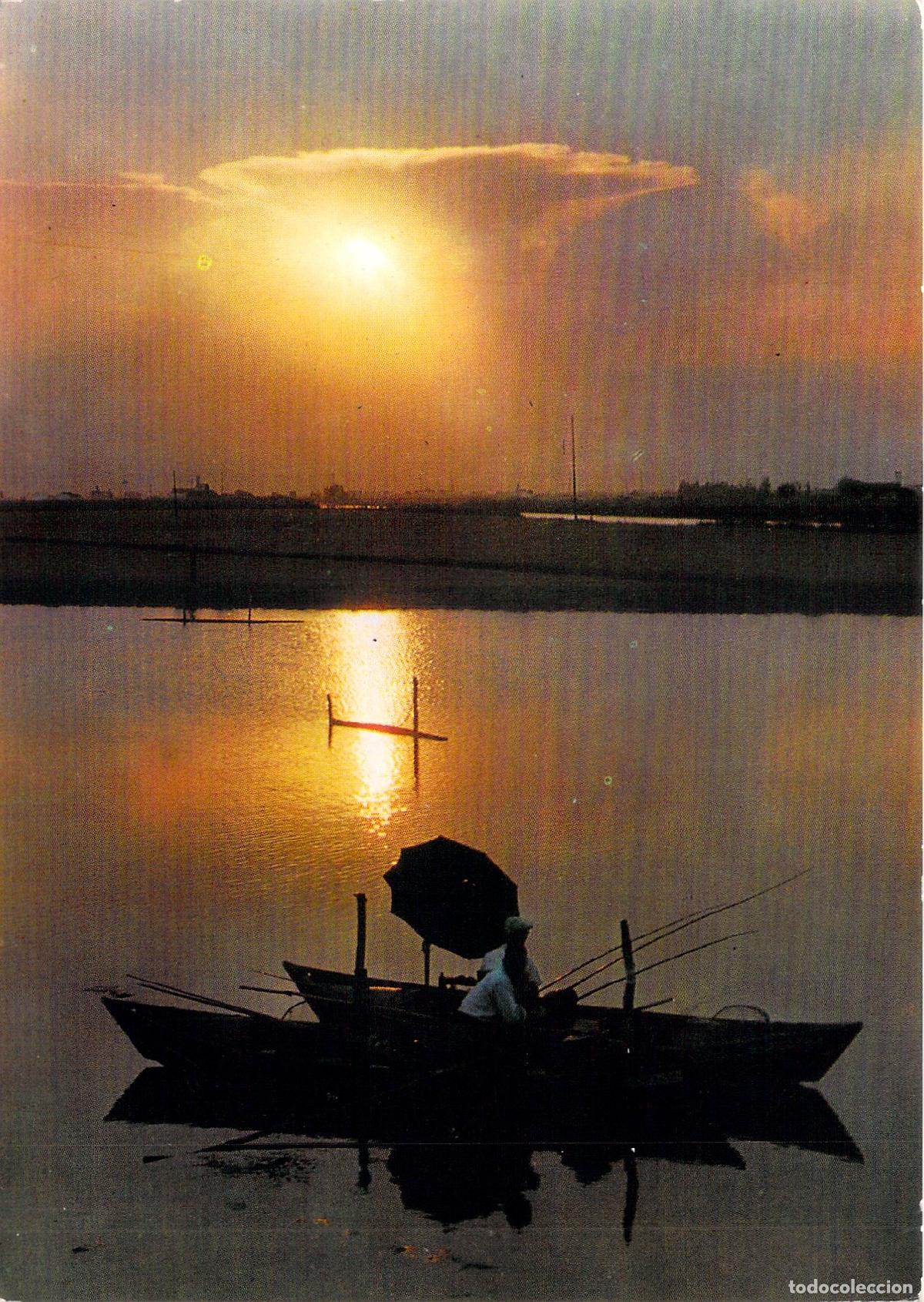 Postales: Postal de la Puesta de Sol en la Albufera de Valencia