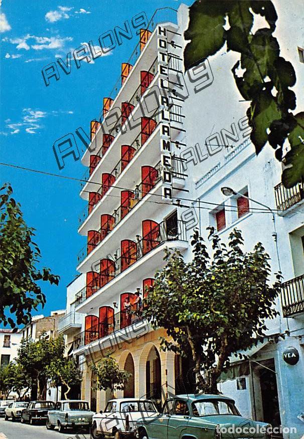 Postales: Hotel Alameda de Benidorm (Alicante) - Con coches de la &eacute;poca - Sin Circular - A&ntilde;os 60