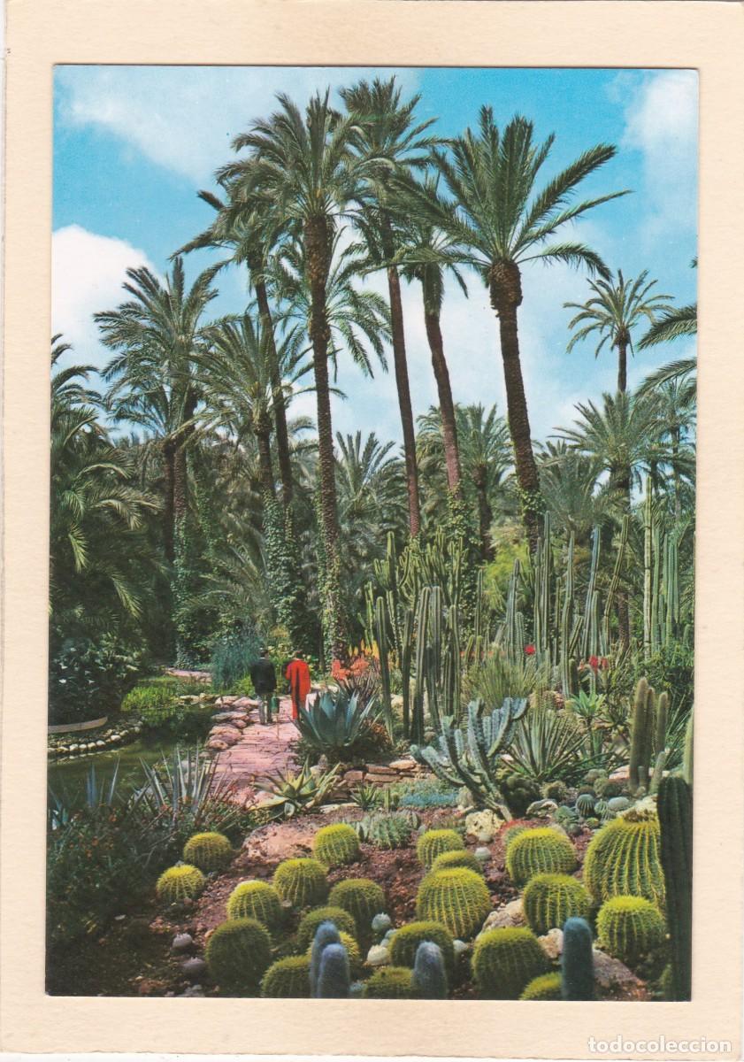Postales: ELCHE (ALICANTE). HUERTO DEL CURA. ROCALLA (1977)