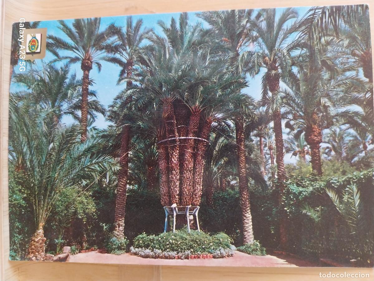 Postales: PALMERA IMPERIAL ELCHE ED FISA 11 SC ORIGINAL