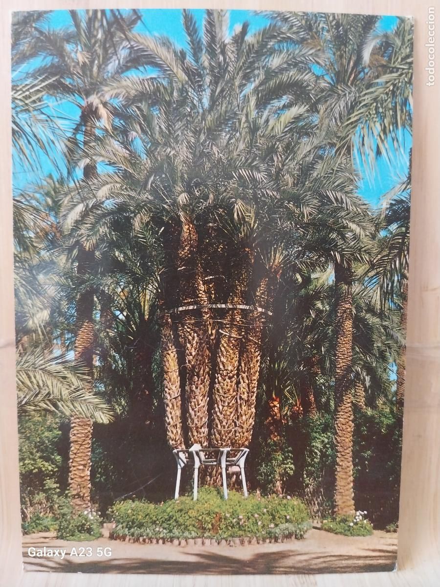 Postales: HUERTO DEL CURA PALMERA IMPERIAL OCHO BRAZOS ELCHE ED GARRABELLA 8 SC ORIGINAL
