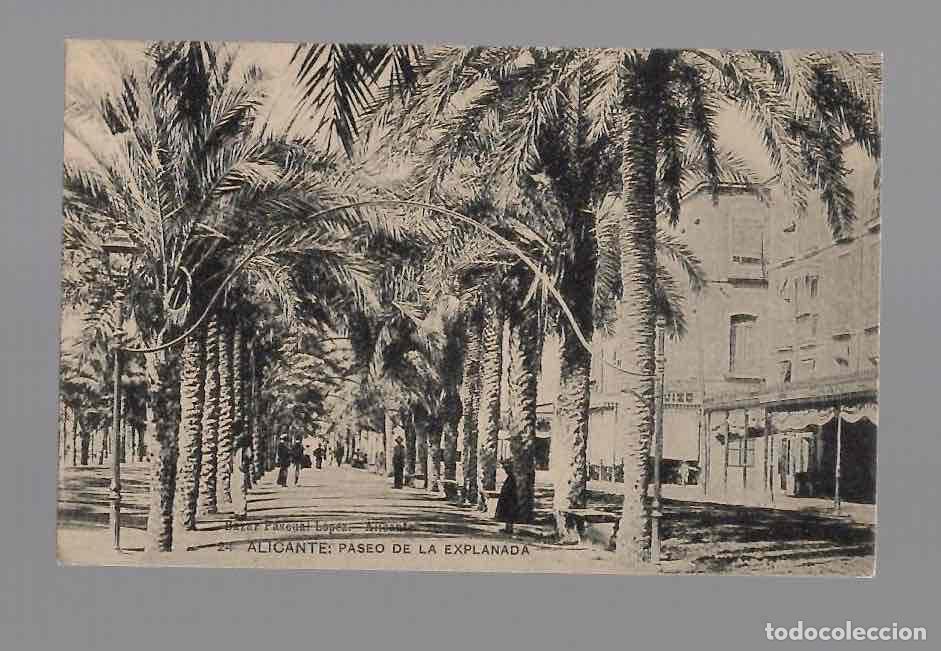 Postales: TARJETA POSTAL ALICANTE PASEO DE LA EXPLANADA N&ordm; 24. BAZAR PASCUAL LOPEZ