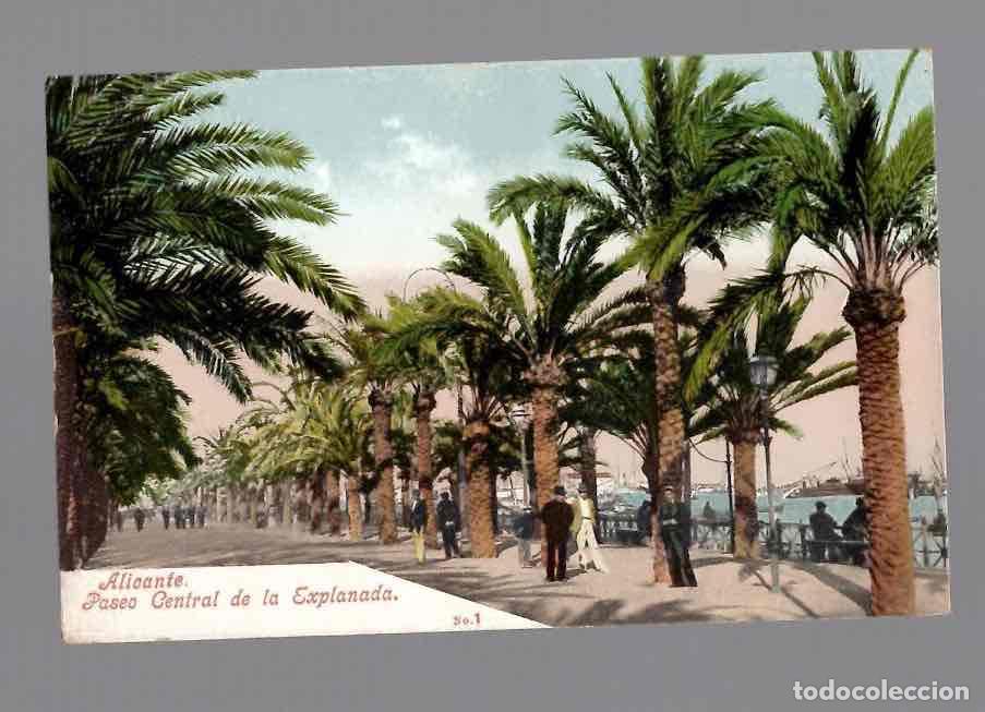 Postales: TARJETA POSTAL ALICANTE PASEO CENTRAL DE LA EXPLANADA. N&ordm; 1 PURGER & CO