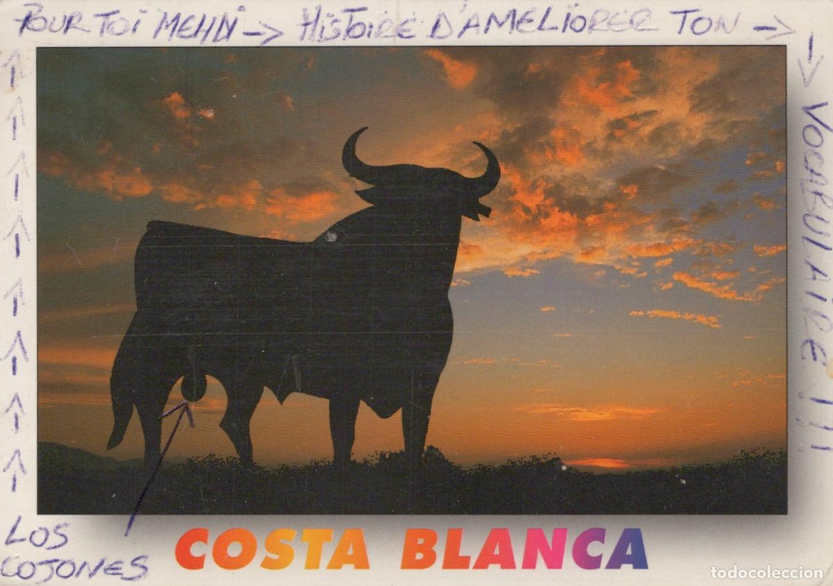 Postales: Espa&ntilde;a Costa Blanca Comunidad Valenciana Silueta de Toro Atardecer *YAB001