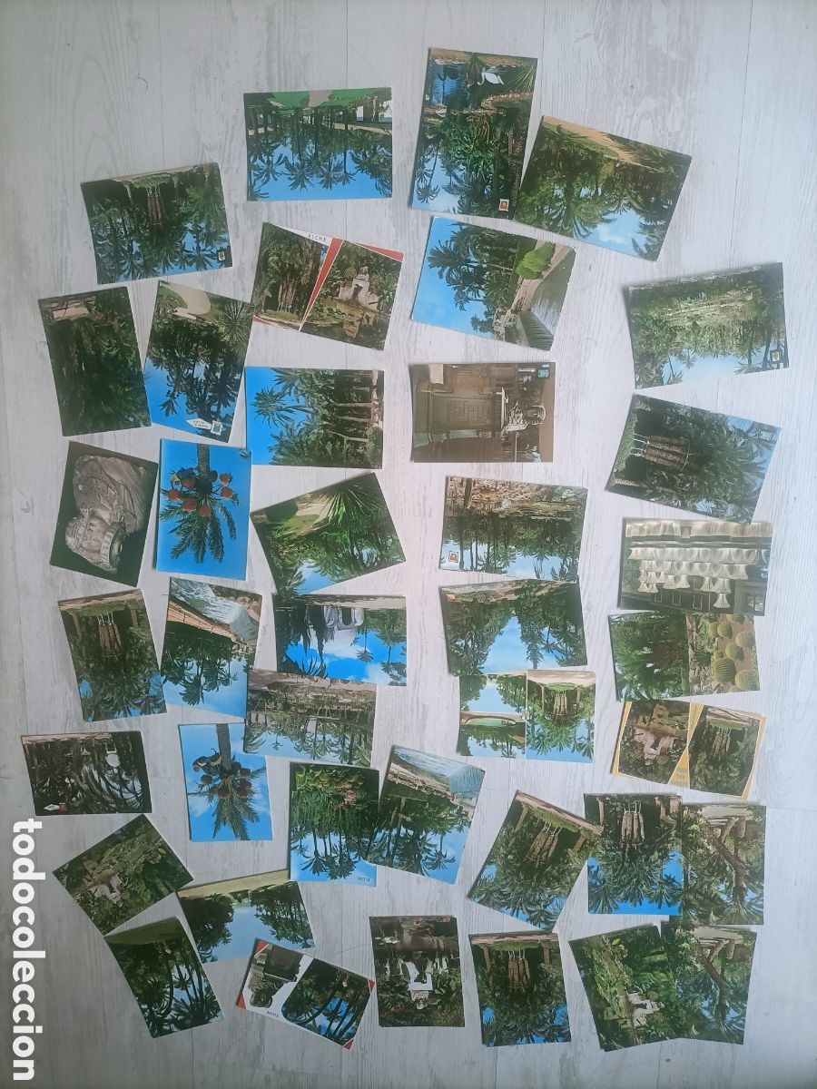 Postales: Lote de 35 postales de Elche. Alicante