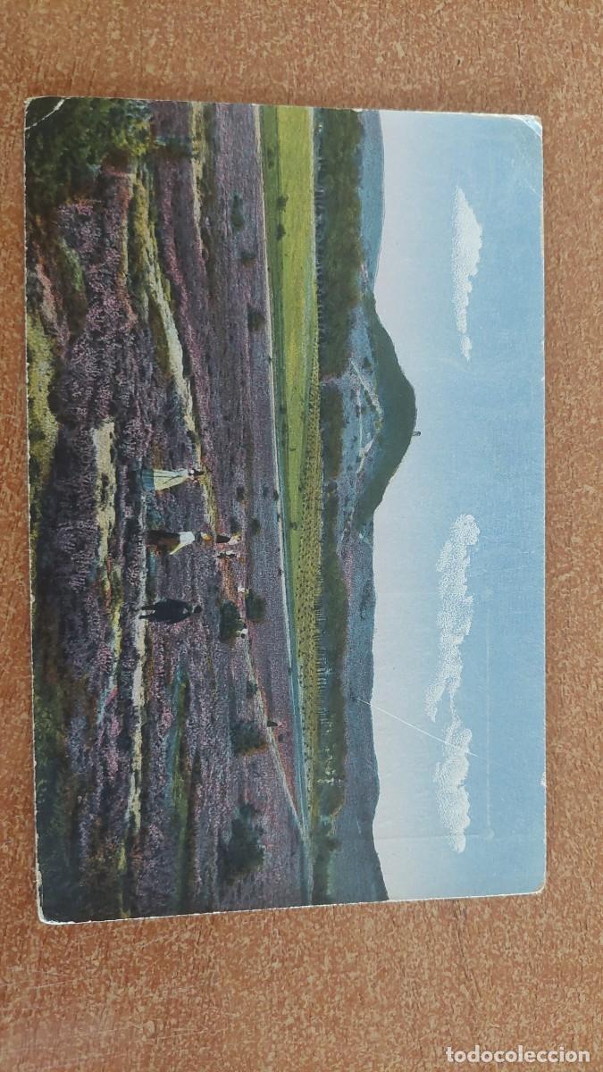 Postales: Tarjeta Postal Reumatina Jos&eacute; Richart Fliquete Valencia