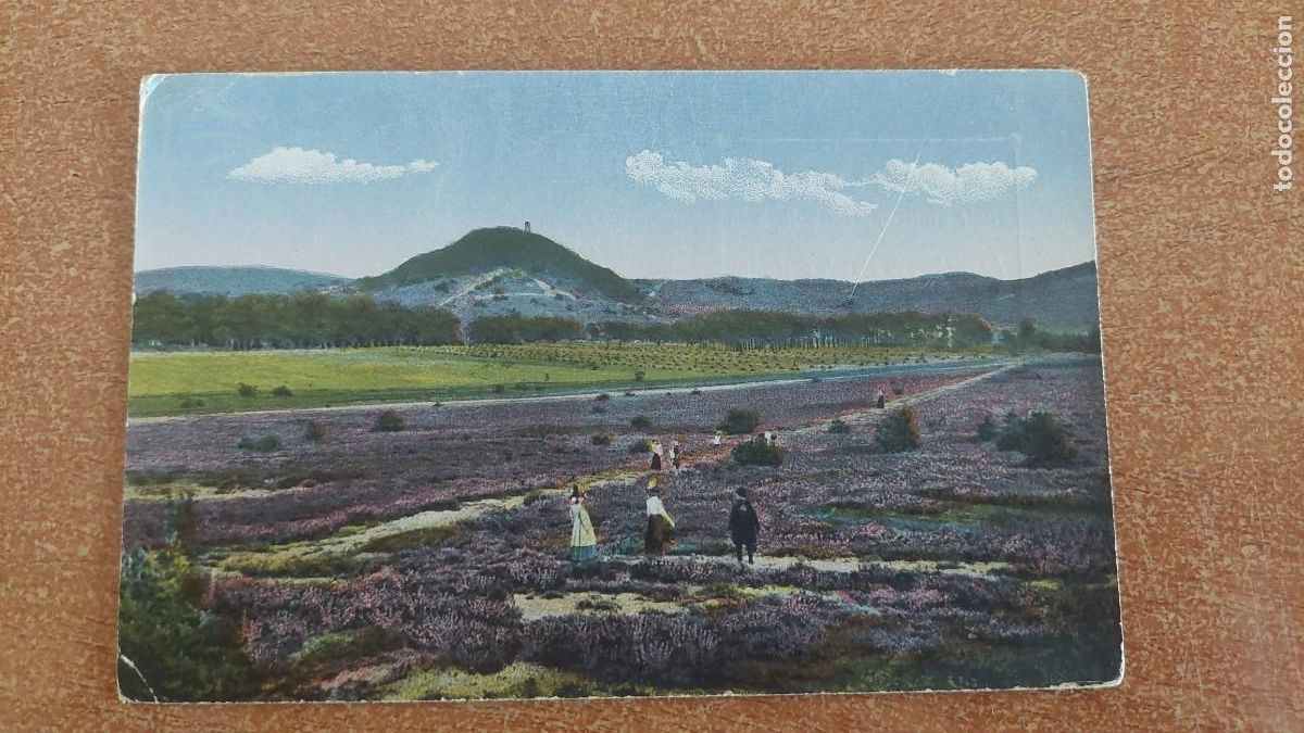 Postcards: Tarjeta Postal Reumatina Jos&eacute; Richart Fliquete Valencia
