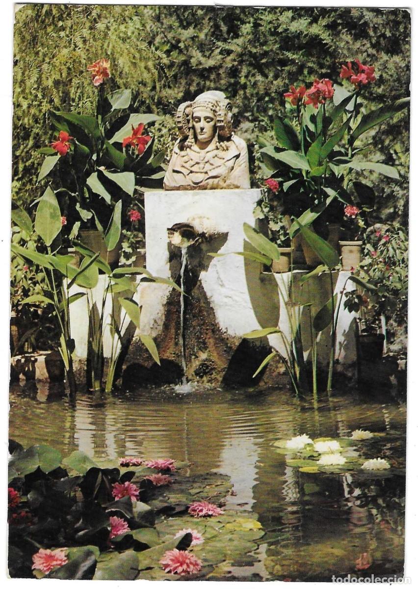 Postales: Postal Elche. Alicante. Huerto del Cura. La Alberca de la Dama de Elche. ref. 7-alicante125