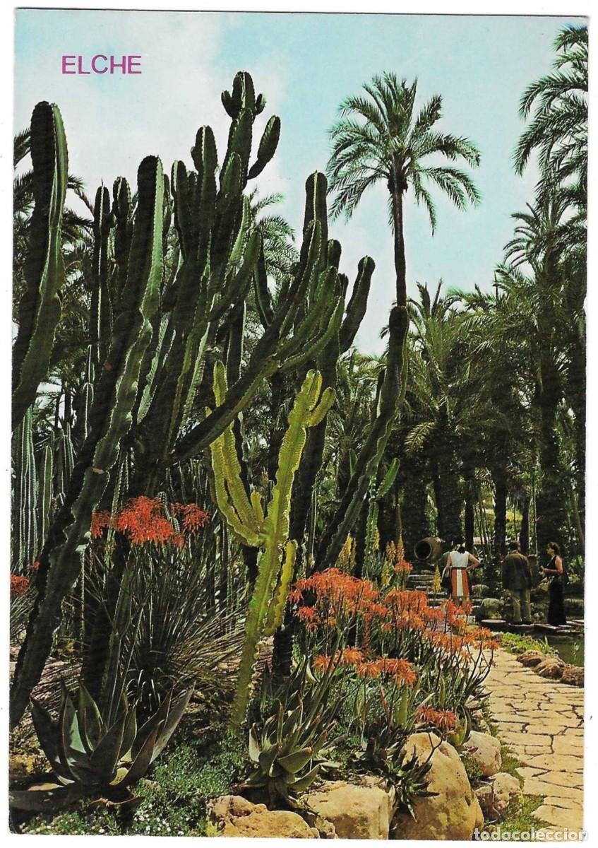 Postales: Postal Elche. Alicante. Huerto del Cura. Rocalla. Flores en flor. ref. 7-alicante127