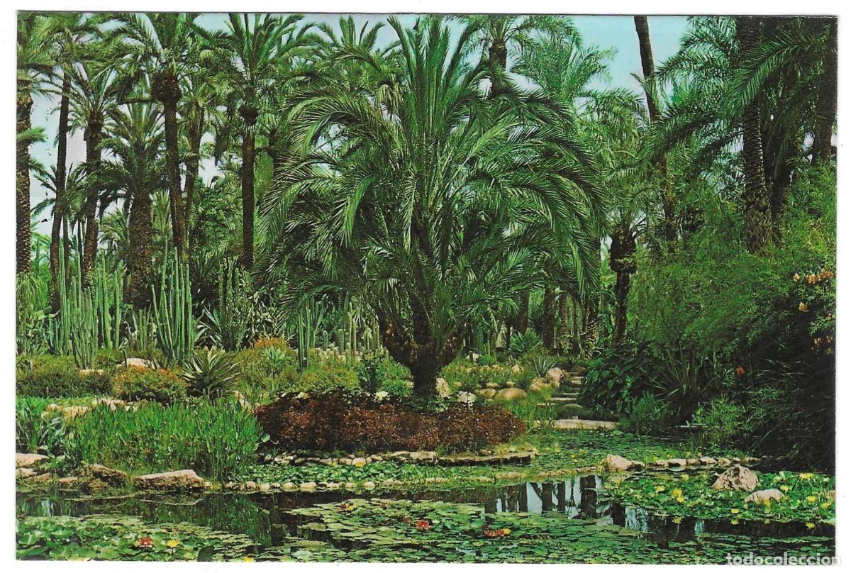 Postales: Postal Elche. Alicante. Huerto del Cura. Lago de la Rocalla. ref. 7-alicante128