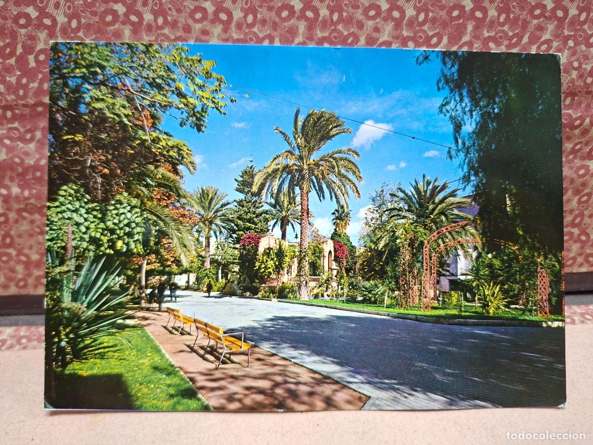 Postales: ANTIGUA POSTAL NOVELDA ALICANTE SORIA ARTE FOTOGRAFICO 6