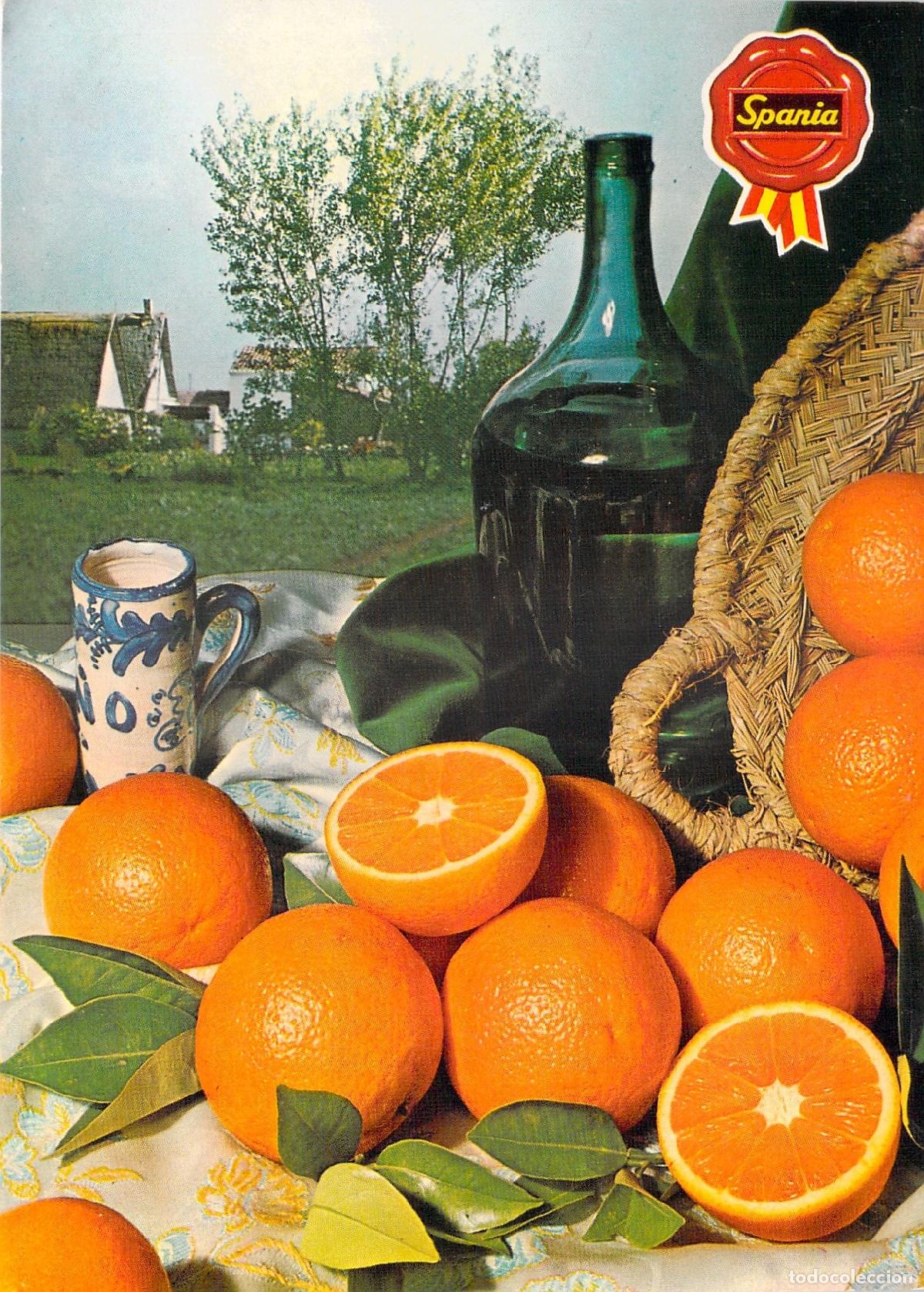 Postales: Postal de naranjas de Valencia en bodeg&oacute;n cl&aacute;sico