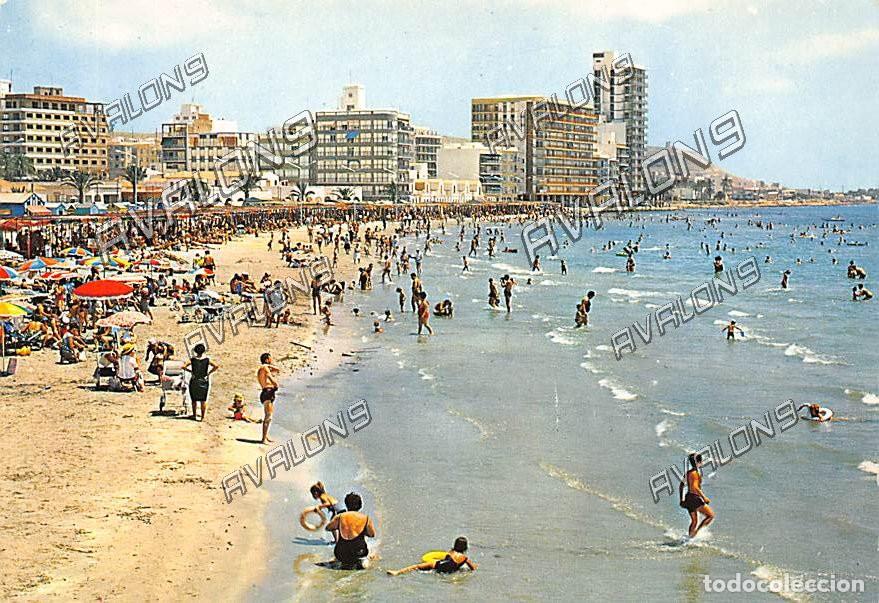 Postales: Playa de Santa Pola (Alicante) - Sin Circular - A&ntilde;os 60