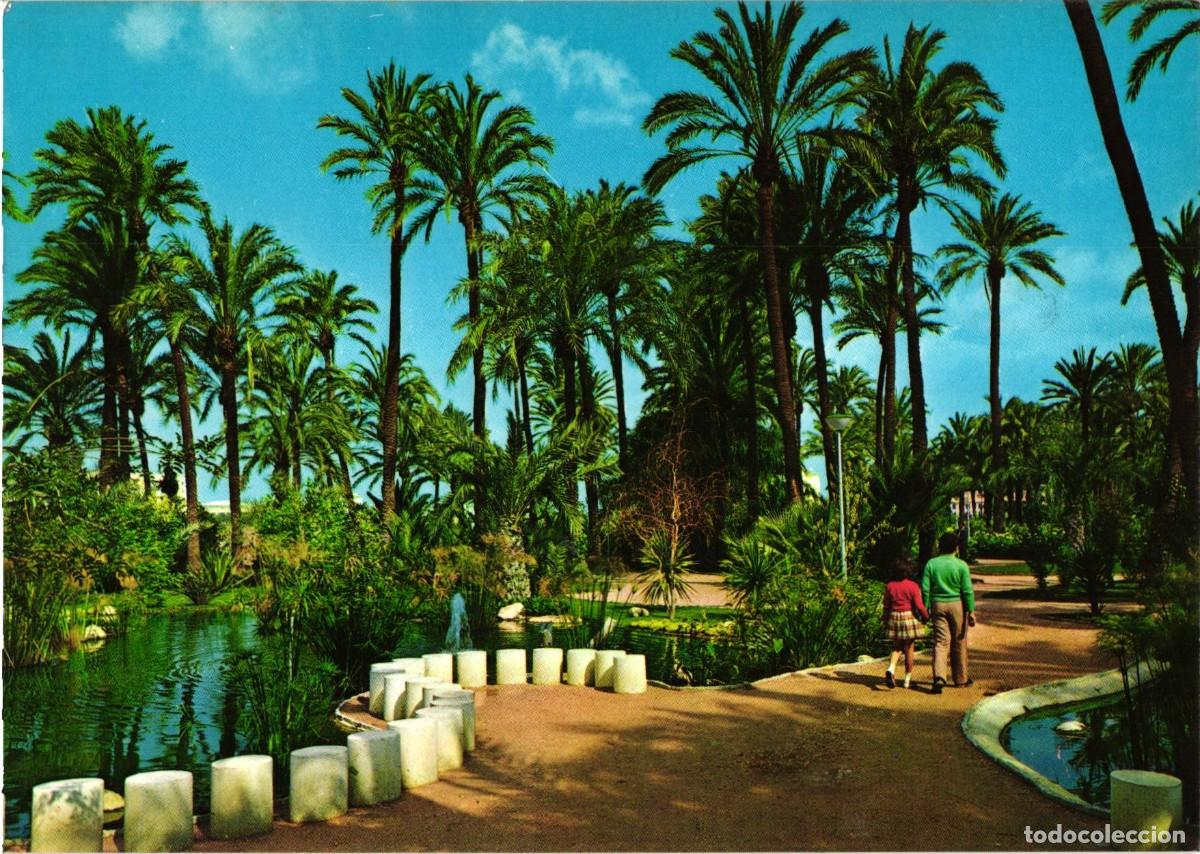 Postales: Elche Elx Alicante Alacant - Comunidad Valenciana