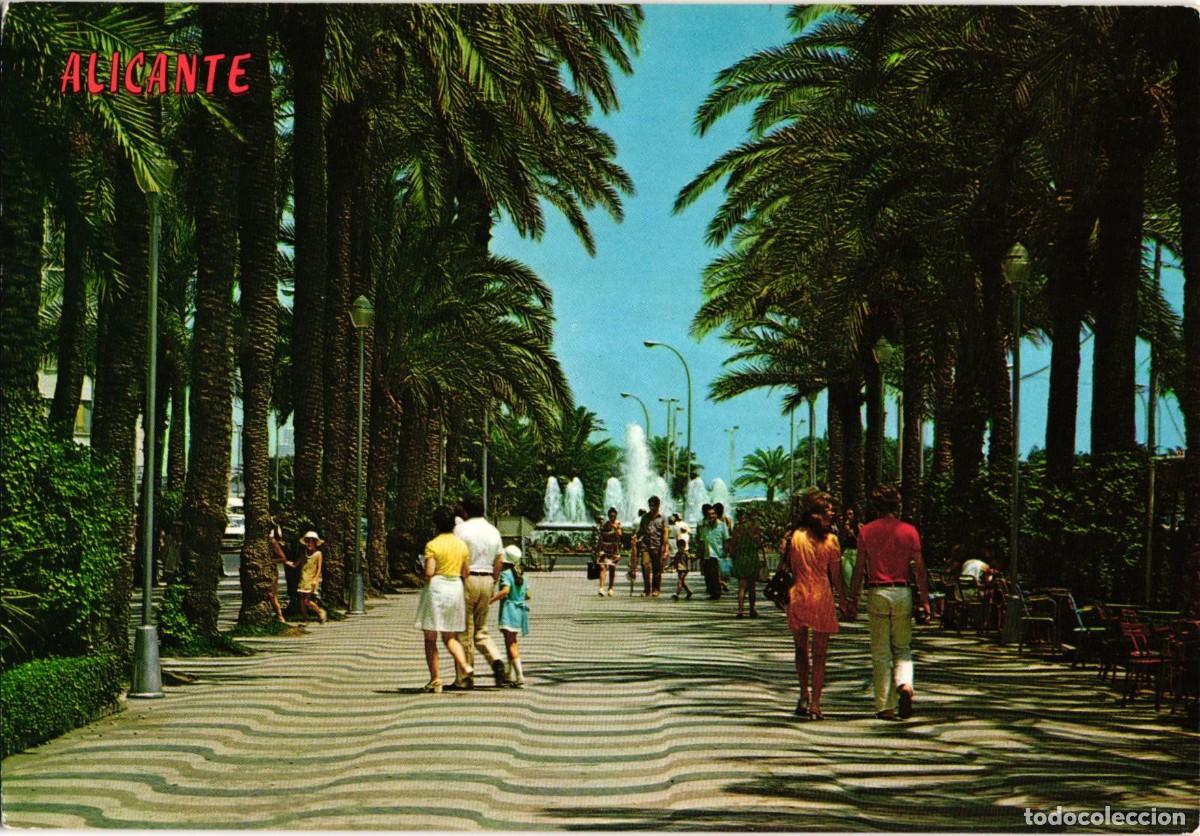 Postales: Elche Elx Alicante Alacant - Comunidad Valenciana