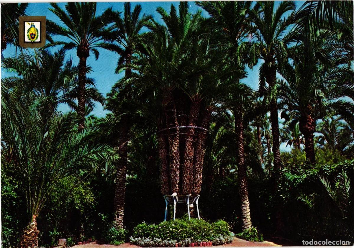 Postales: Elche Elx Alicante Alacant - Comunidad Valenciana