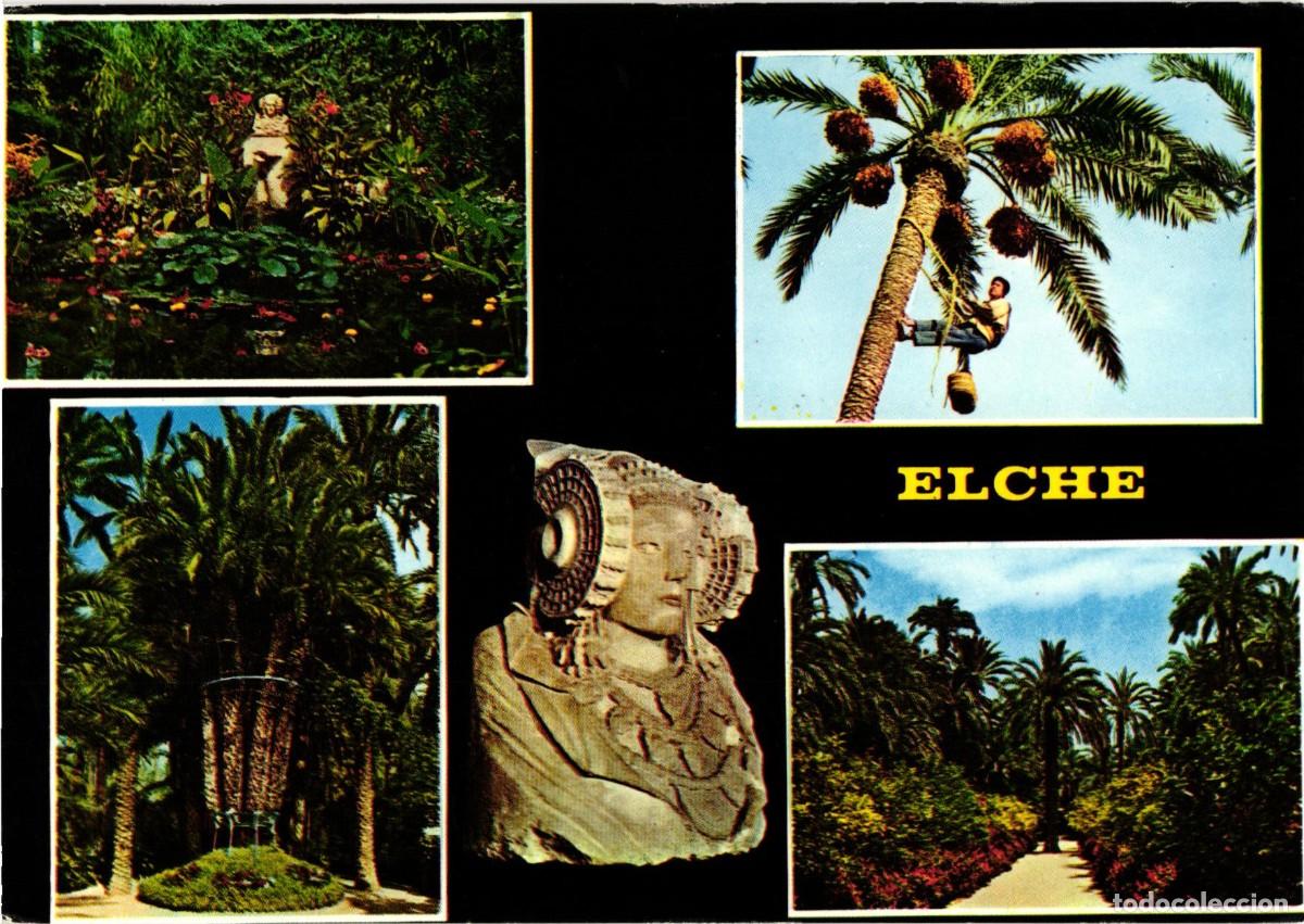 Postales: Elche Elx Alicante Alacant - Comunidad Valenciana