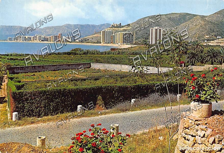 Postales: Huertos de naranjos del Rac&oacute; en Cullera (Valencia) - Sin Circular - A&ntilde;os 70 u 80