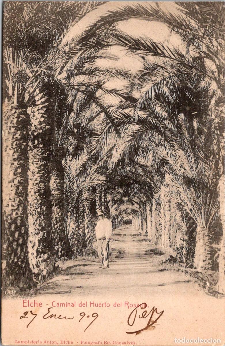 Postales: Elche - Caminal del Huerto del Rosario - Lampister&iacute;a Ant&oacute;n - Reverso sin Dividir - 138x89mm