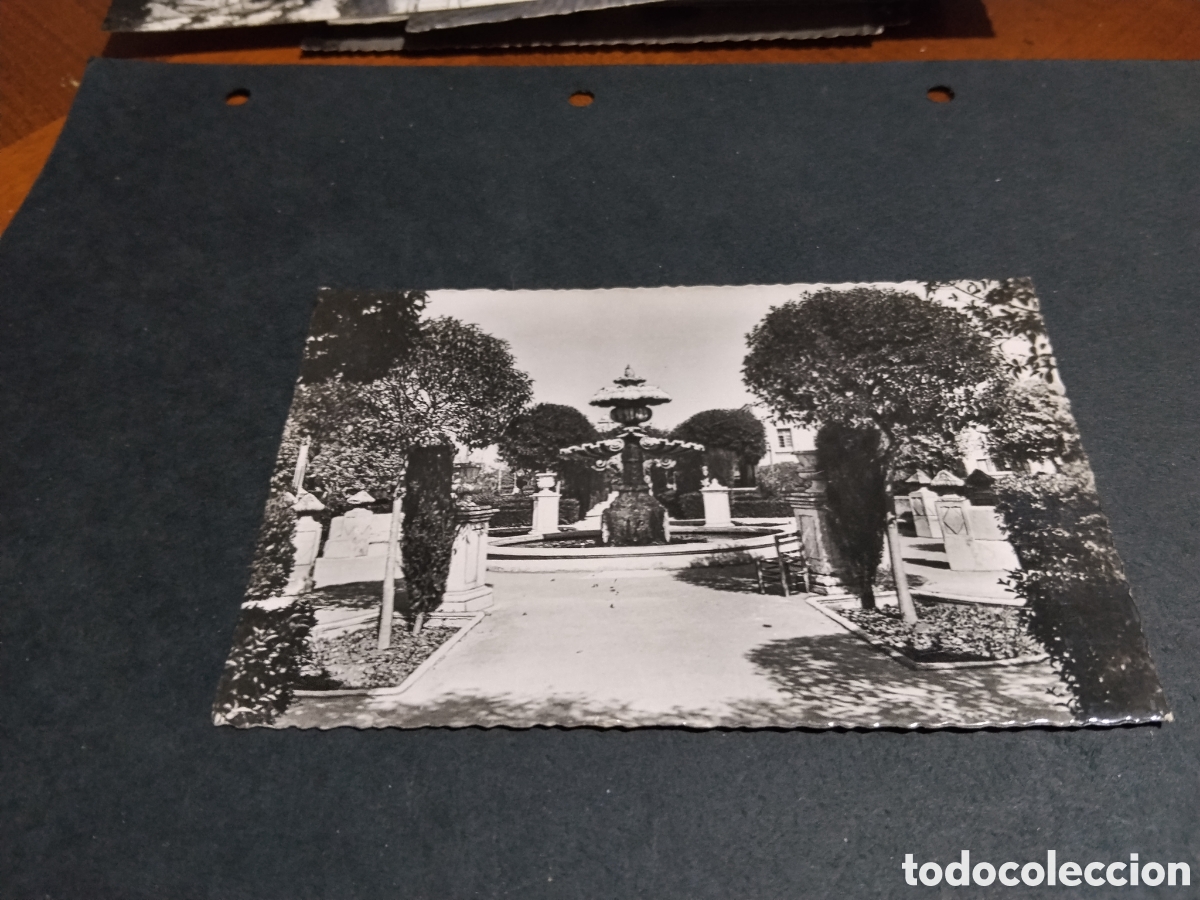 Postales: Postal Valencia jardines del Real