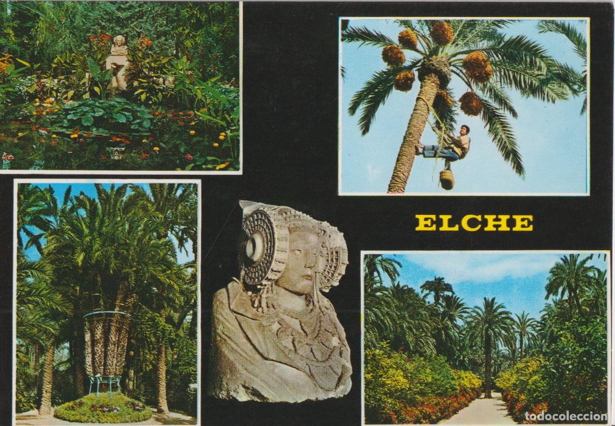 Postales: ELCHE (ALICANTE) TOCADOR DE LA DAMA, PALMERA IMPERIAL - COMERCIAL PAPISA 115 - S/C