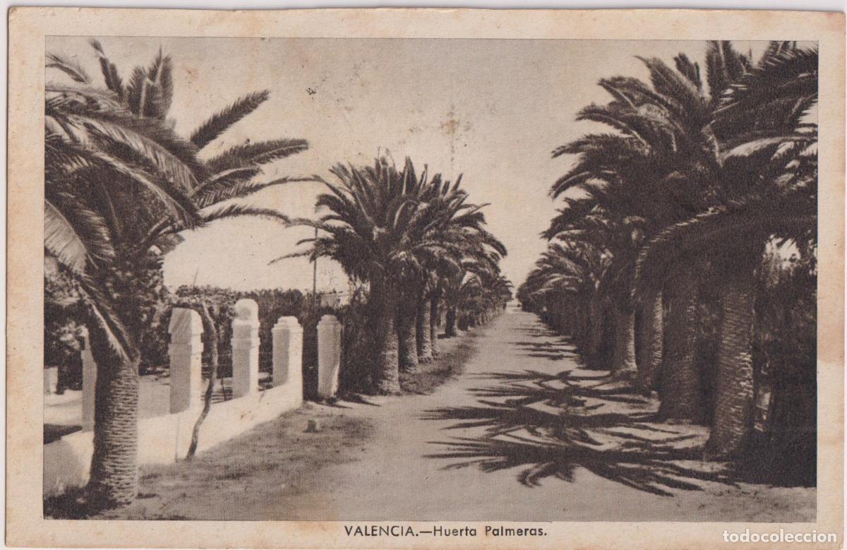 Postales: VALENCIA, HUERTA PALMERAS - JDP - CIRCULADA 1952