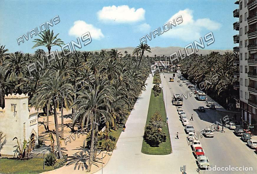 Postales: Paseo de la Estaci&oacute;n en Elche (Alicante) - Sin Circular - A&ntilde;os 70
