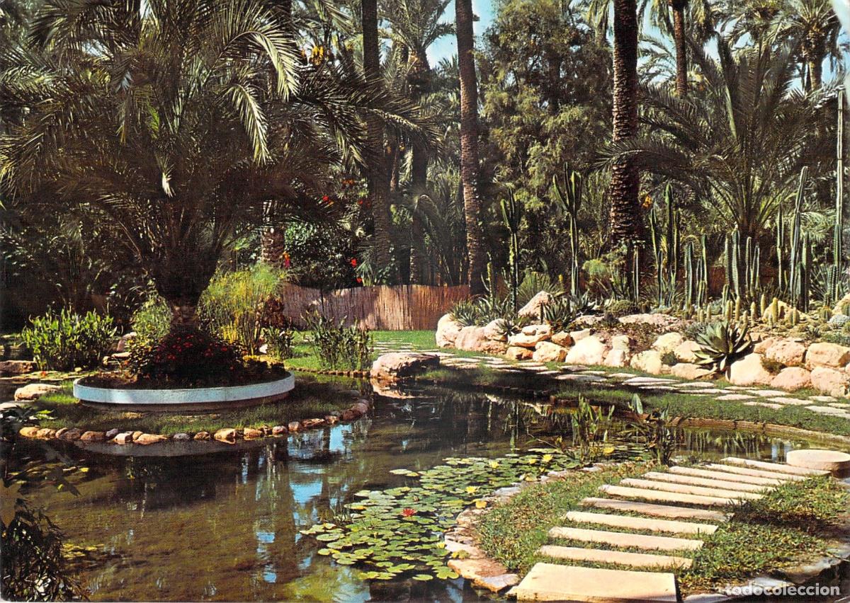 Postales: Postal del Huerto del Cura Lago de Rocalla en Elche
