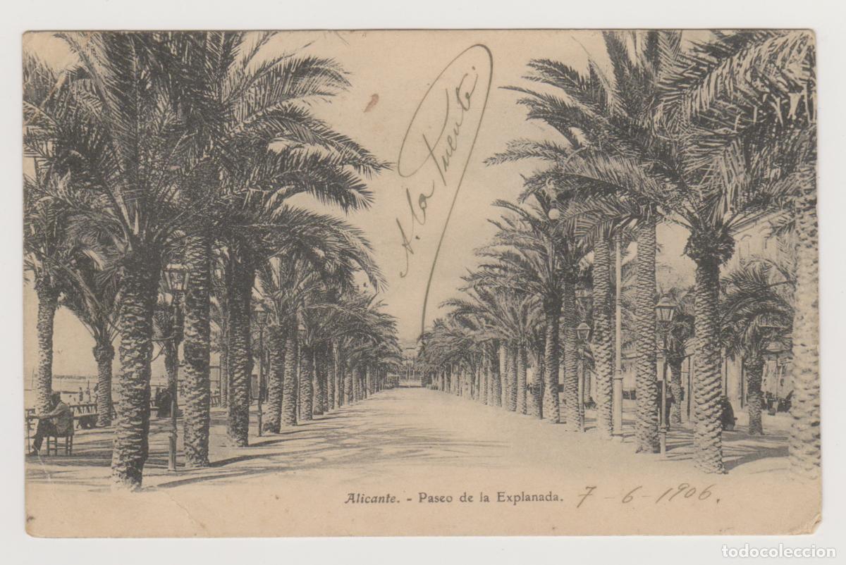 Postales: TARJETA POSTAL - ALICANTE - PASEO DE LA EXPLANADA