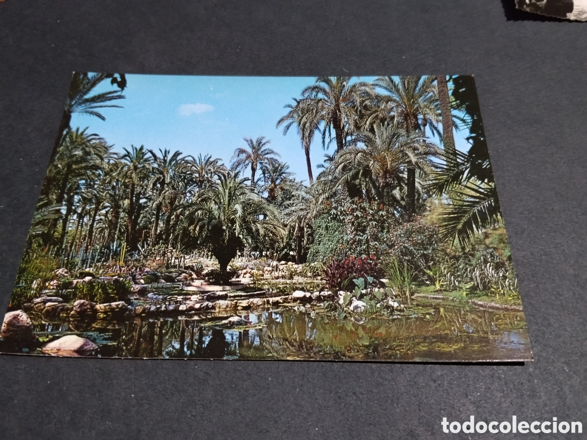 Postales: Postal Elche huerto del cura