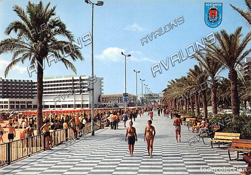 Postales: Paseo del Postiguet (Alicante) - Sin Circular - A&ntilde;os 70