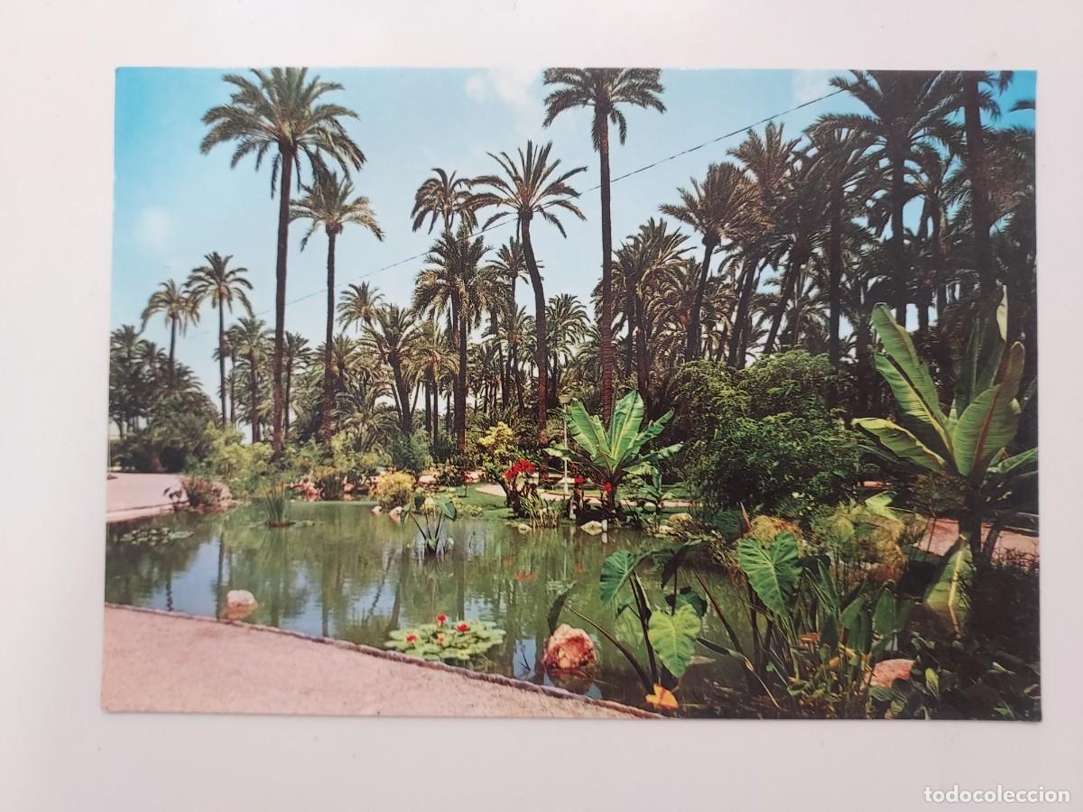 Postales: POSTAL ELCHE HUERTO DEL CURA. 1977. SIN CIRCULAR. JIMENEZ 42. ALICANTE