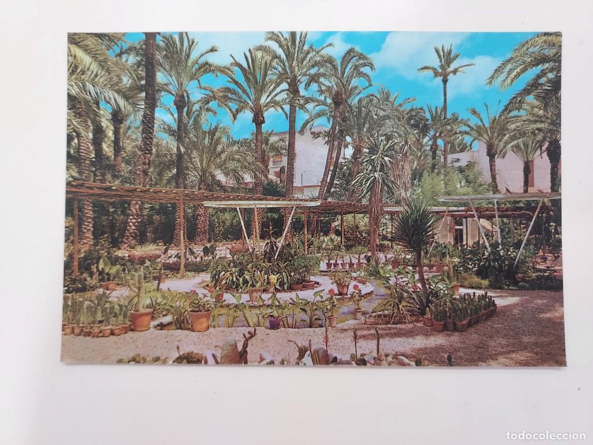 Postales: POSTAL ELCHE HUERTO DEL CURA VIVEROS. 1964. SIN CIRCULAR. COBAS 14. ALICANTE