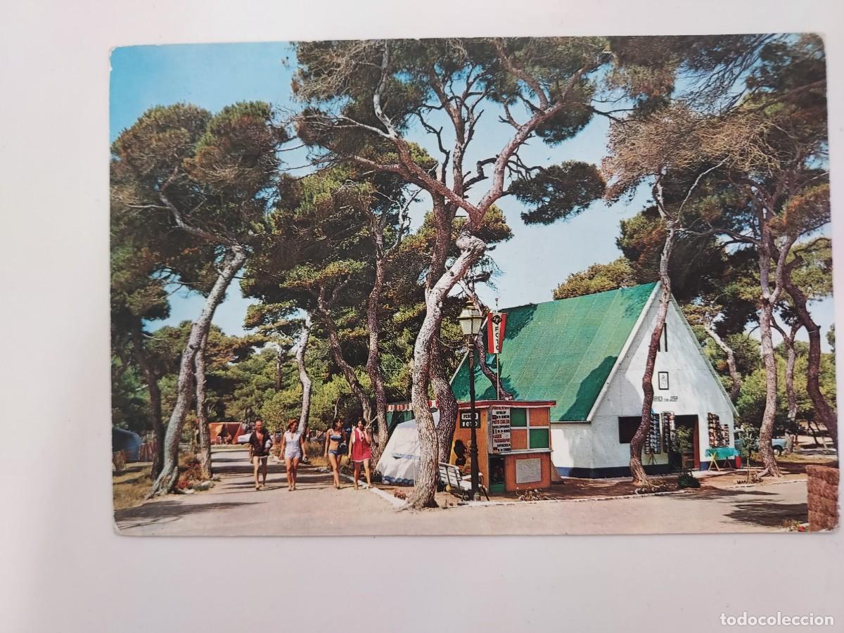 Postales: POSTAL VALENCIA CAMPING DE EL SALER. 1967. CIRCULADA. GARRABELLA 125