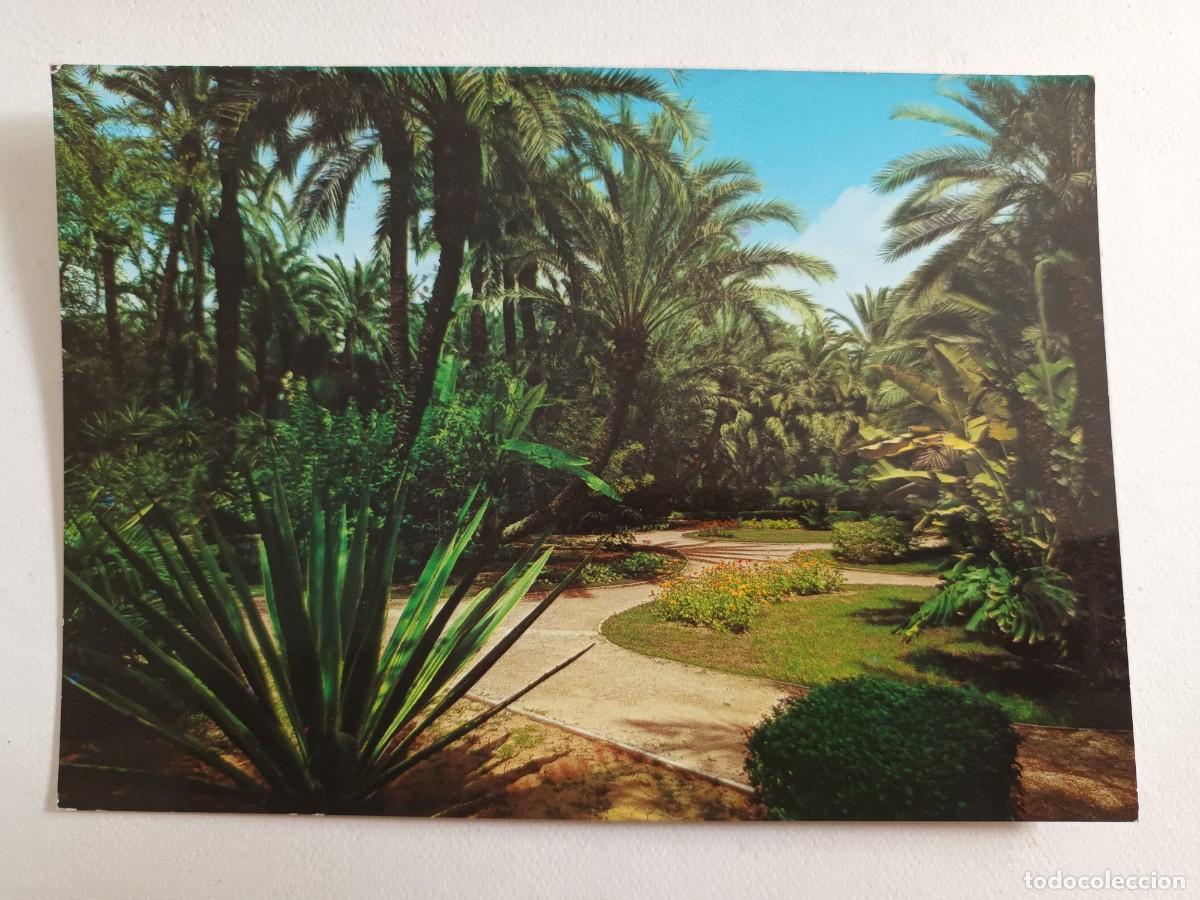 Postales: ELCHE (ALICANTE). HUERTO DEL CURA. JARDIN TROPICAL (1972) - FRANQUEO