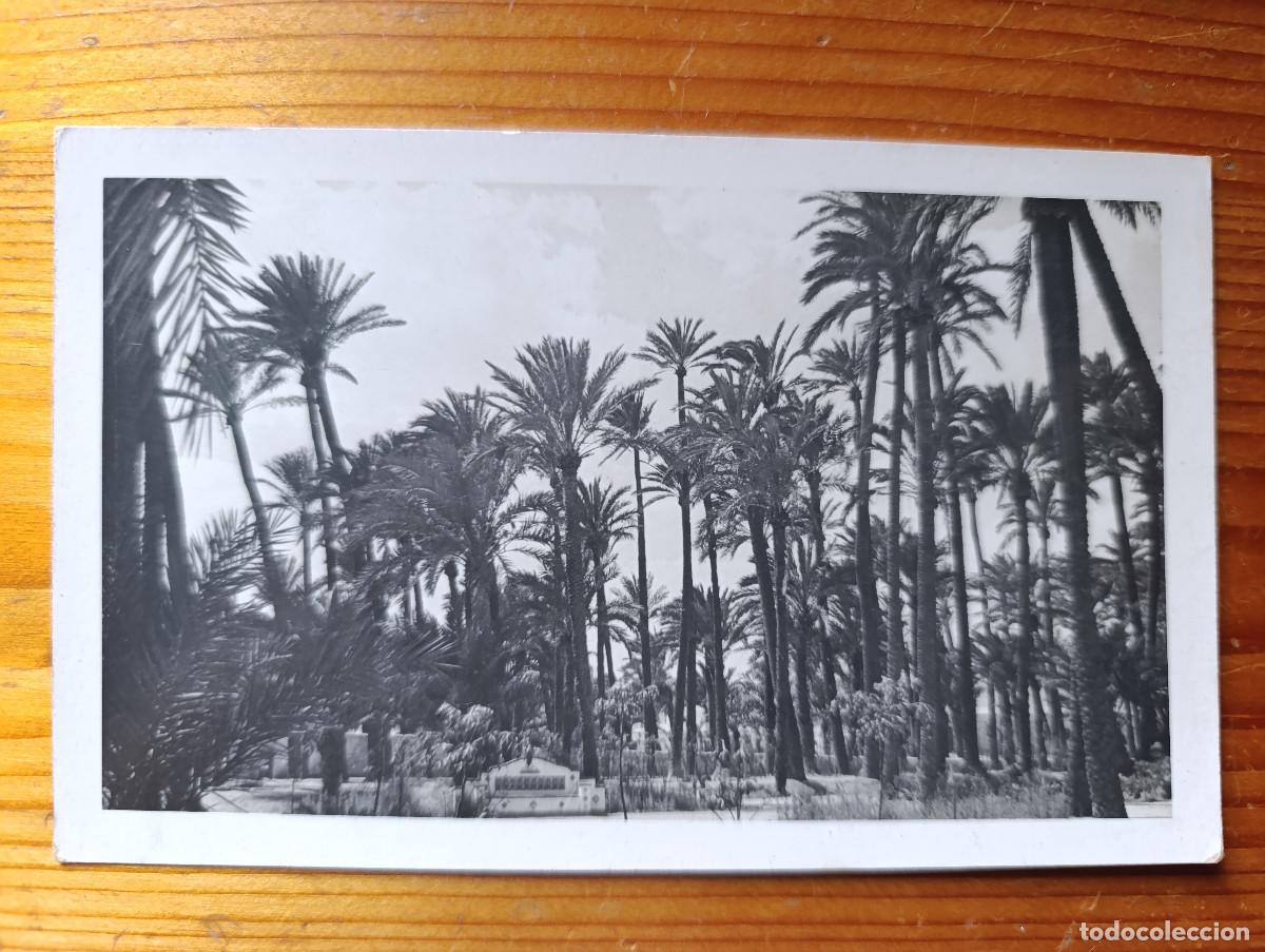 Postales: PALMERAL DE ELCHE - SIN TITULO - S/N&ordm;. FOTO MONFERVAL. IMPOSIBLE. FIRMADA POR EMILIO ESCUA&Iacute;N S&Aacute;NCHEZ