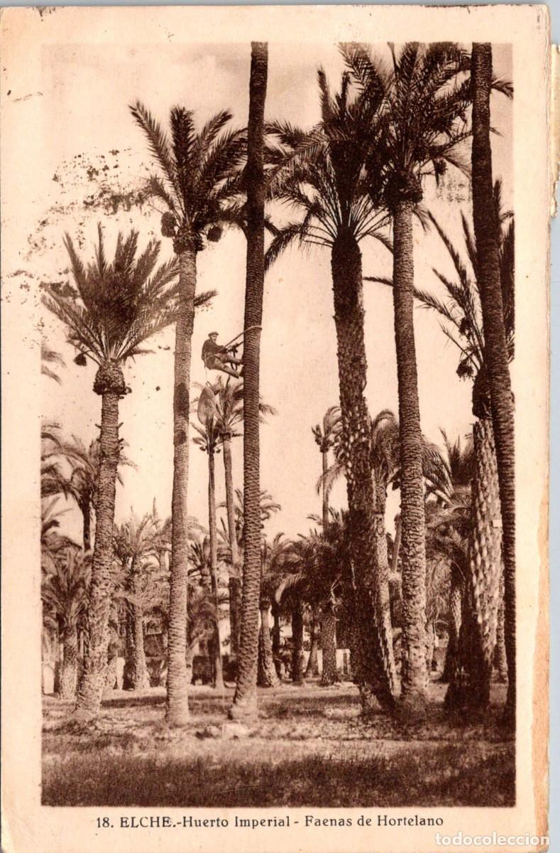 Postales: Elche - Huerto Imperial - Faenas de Hortelano - Roisin 18 - 141x91mm