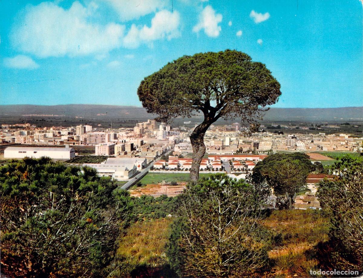 Postales: Postal de vista panor&aacute;mica de Alzira, Valencia