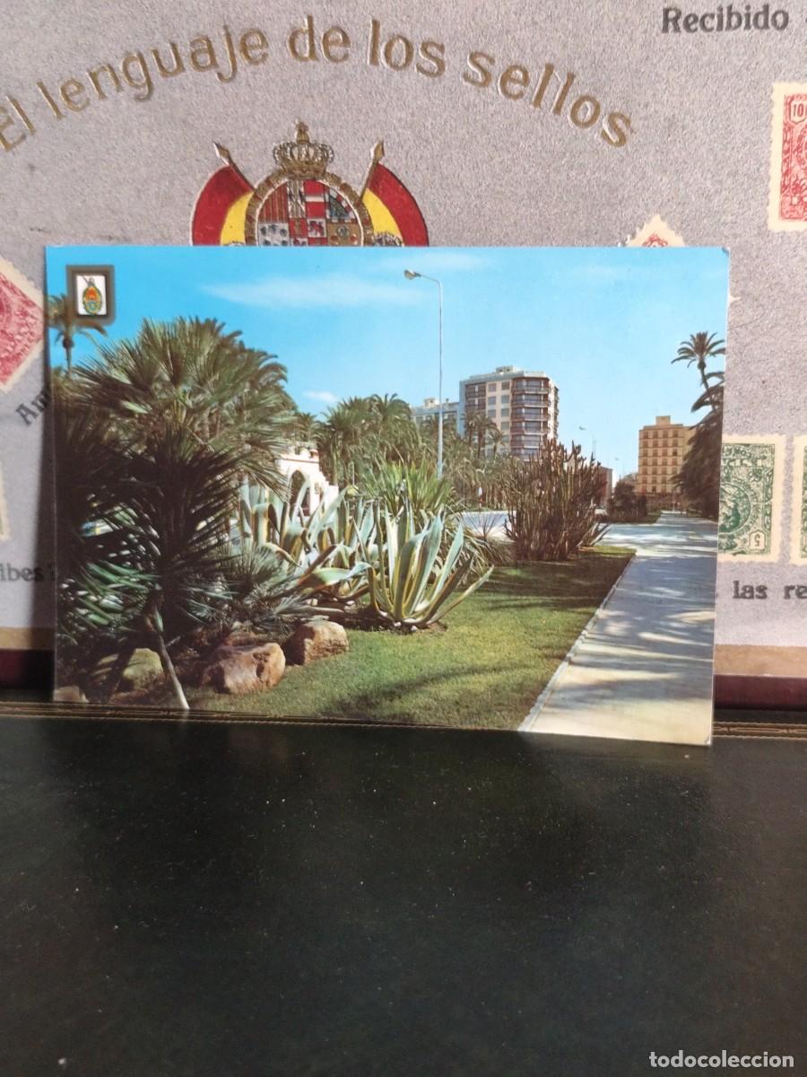 Postales: P6267 Postal Elche 36 Paseo Alfonso XIII . Subirats Casanovas
