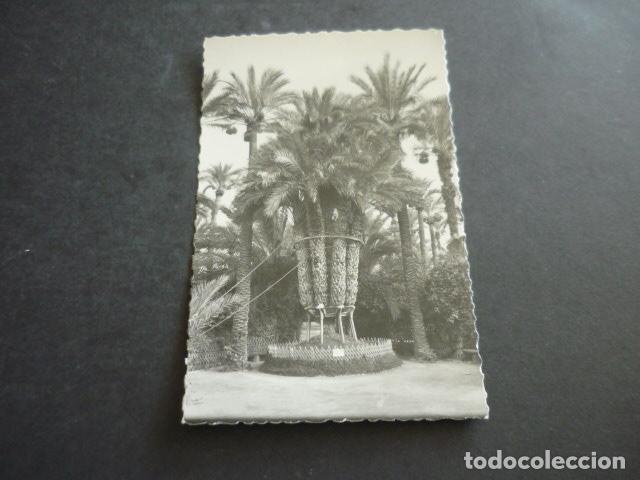 Postales: ELCHE ALICANTE HUERTO DEL CURA