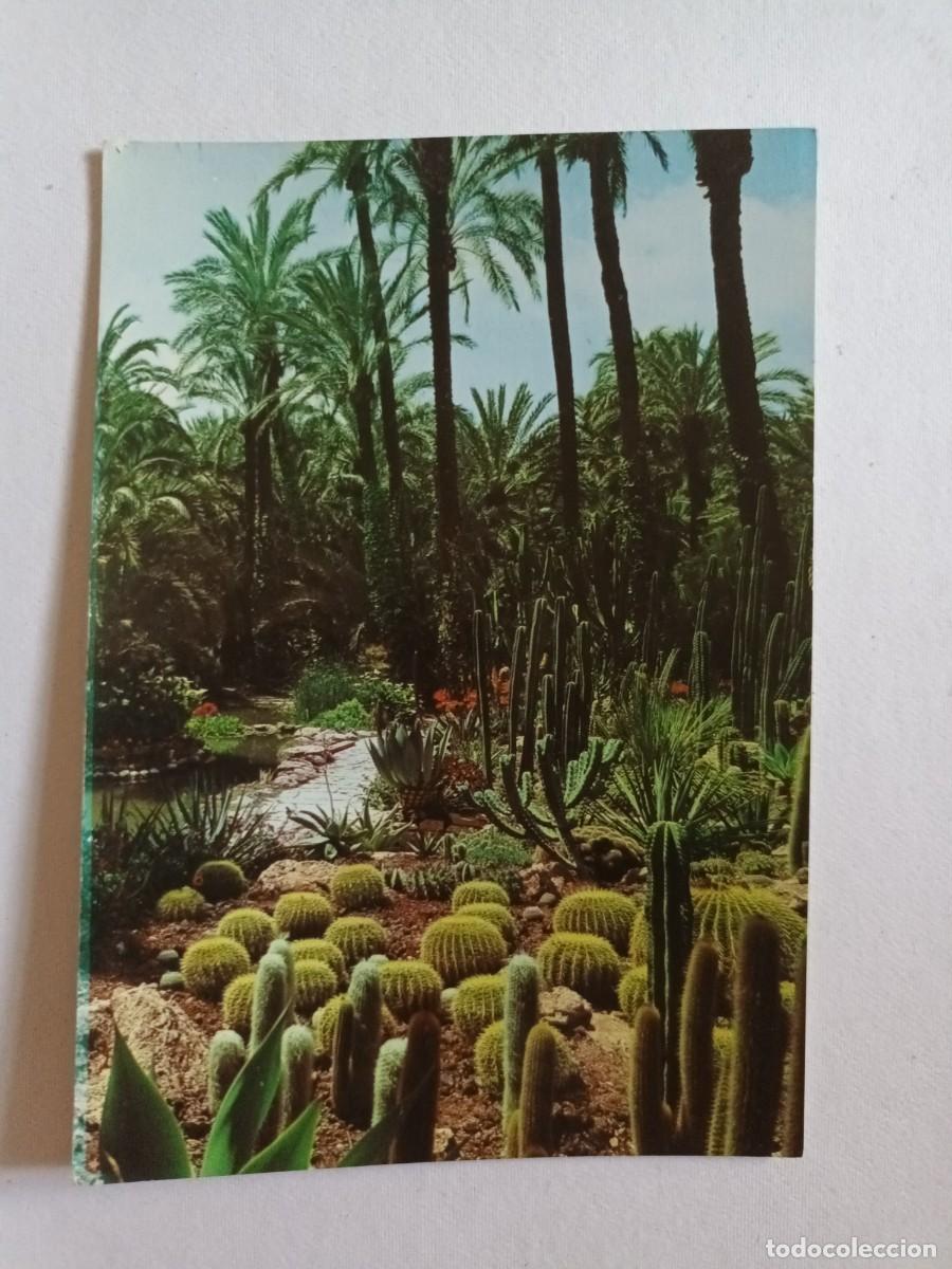 Postales: ELCHE (ALICANTE). HUERTO DEL CURA. ECHINOCACTUS GRUSSONII, ROCALLA Y LAGO (1972) - FRANQUEO