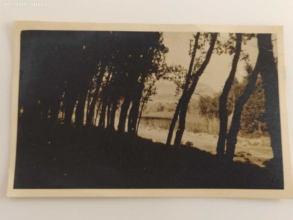 Postales: LA PUEBLA DE ARENOSO - FOTOGRAFICA - POSTAL ANTIGUA (116.782)