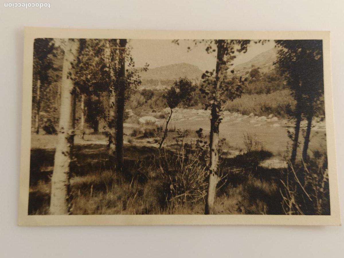 Postales: LA PUEBLA DE ARENOSO - FOTOGRAFICA - POSTAL ANTIGUA (116.783)